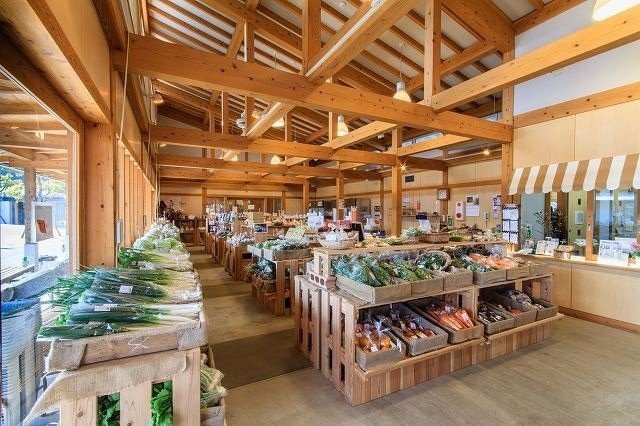 ♨️ 녹나무 햇살 마을(쿠스노키 코모레비노 사토) 이미지 7